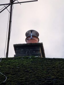 Amazon.com: LALFPET 9